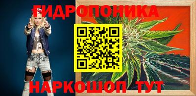 стаф Малгобек